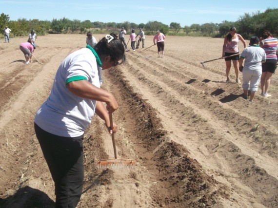 Laboreo de suelo en Anchorena: Familias y Grupo de Inclusión de Cultivando Nuestra Tierra.