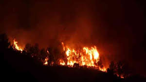Imágenes del incendio provocado intencionalmente en Merlo.