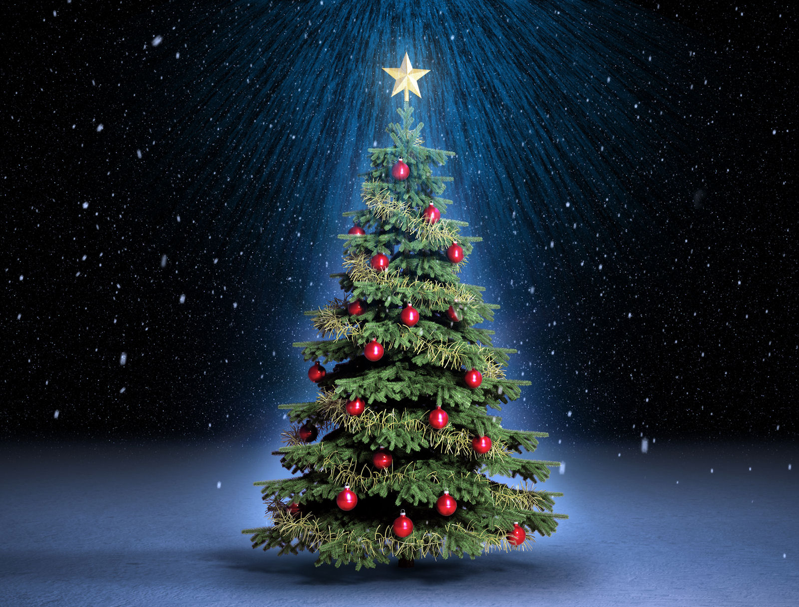 Ayer los hogares creyentes armaron el árbol de Navidad - Agencia de  Noticias San Luis