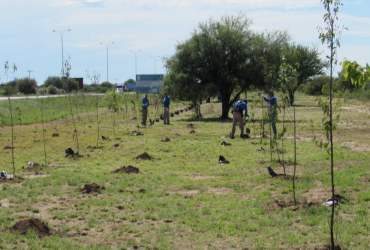 El plan propone la forestación de todos los accesos provinciales, como así también de las diferentes ciudades, pueblos y parajes del territorio sanluiseño.