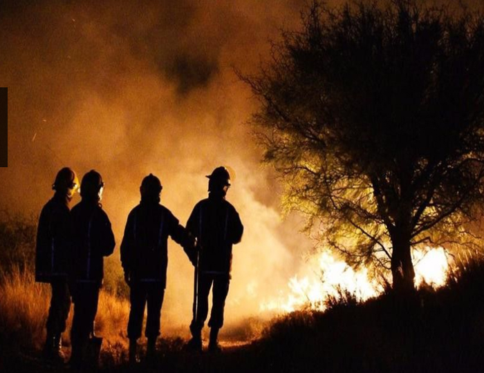 700 hectáreas se quemaron durante un incendio en las afueras de la ciudad de San Luis.