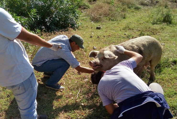 El ministerio acompaña y promueve el crecimiento de los pequeños productores de San Luis.