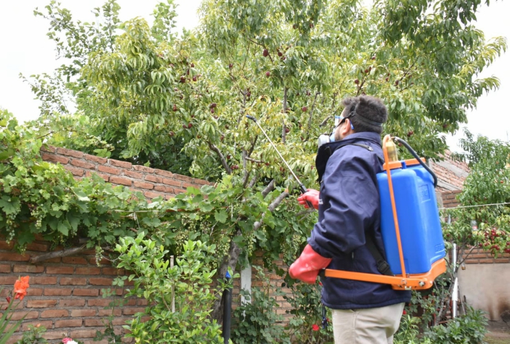 El Programa Mosca de los Frutos continúa con el control y erradicación de la plaga