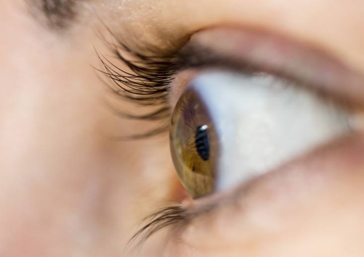 Campaña de prevención de ceguera por glaucoma en el Hospital San Luis