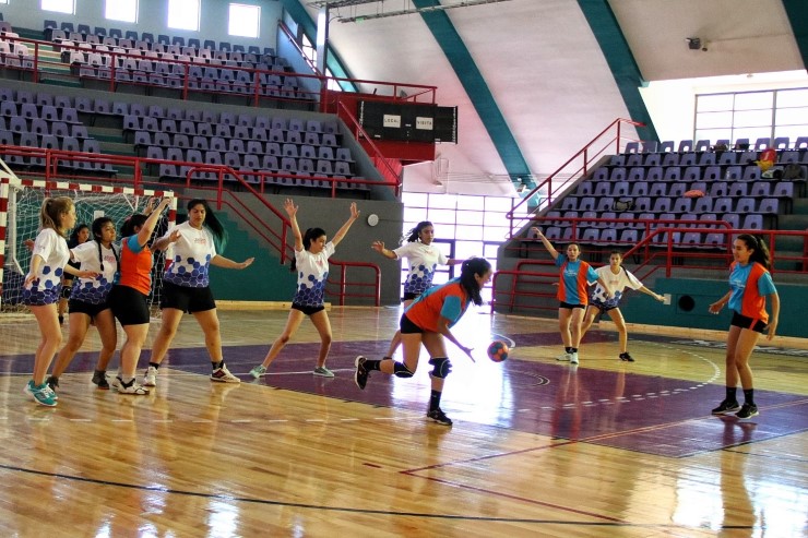 Dictarán un curso sobre la metodología del handball en el “Ave Fénix”