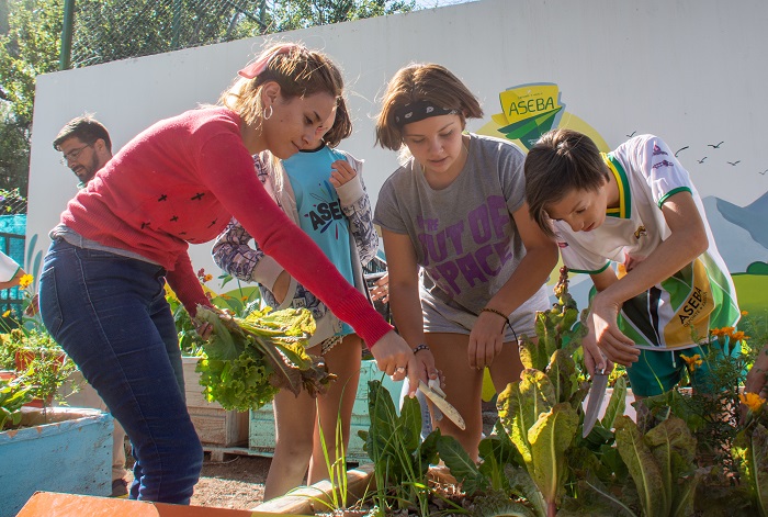 Alumnos y profesores de la colonia de vacaciones cosecharon las primeras verduras de la huerta agroecológica