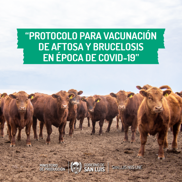 COPROSA reanudará la primera campaña de vacunación contra fiebre aftosa y brucelosis