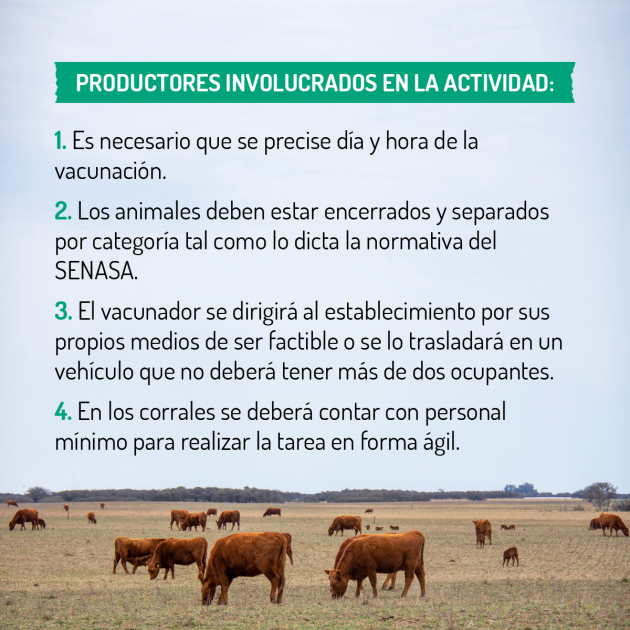 COPROSA reanudará la primera campaña de vacunación contra fiebre aftosa y brucelosis