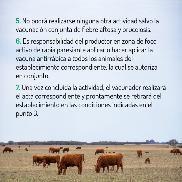 COPROSA reanudará la primera campaña de vacunación contra fiebre aftosa y brucelosis