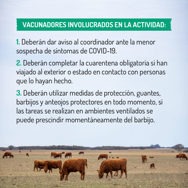 COPROSA reanudará la primera campaña de vacunación contra fiebre aftosa y brucelosis