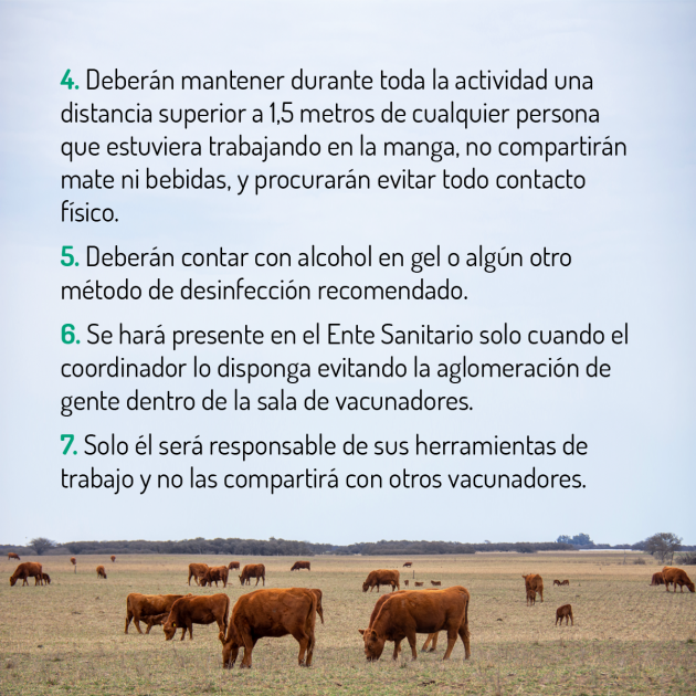 COPROSA reanudará la primera campaña de vacunación contra fiebre aftosa y brucelosis