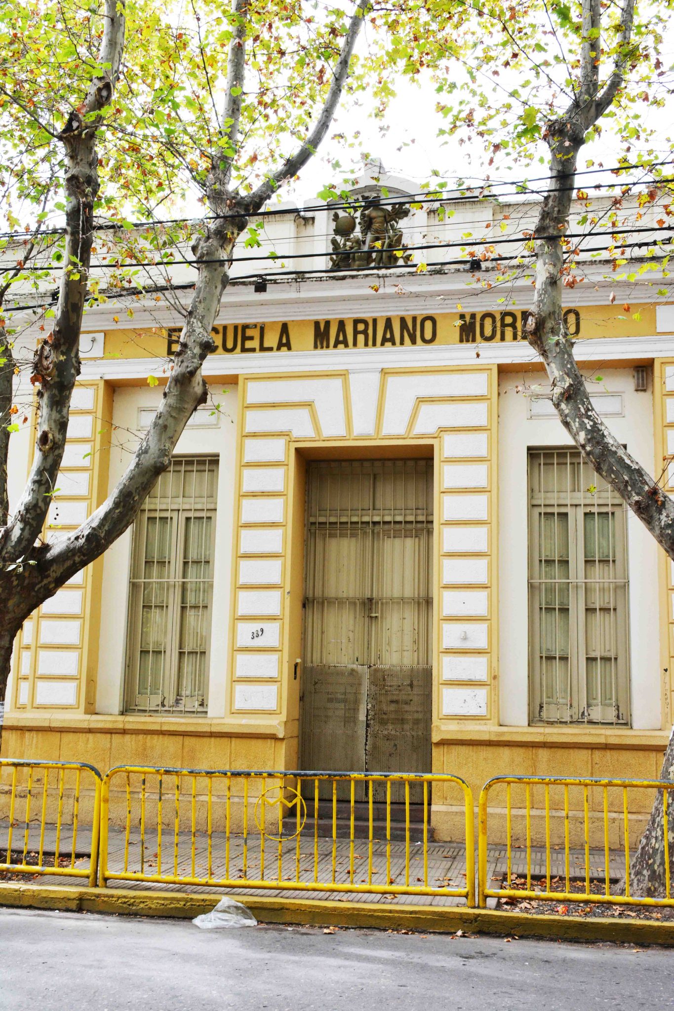 Dra. Janice Rivera: Su Historia, Su Trayectoria Médica - zgec0y3