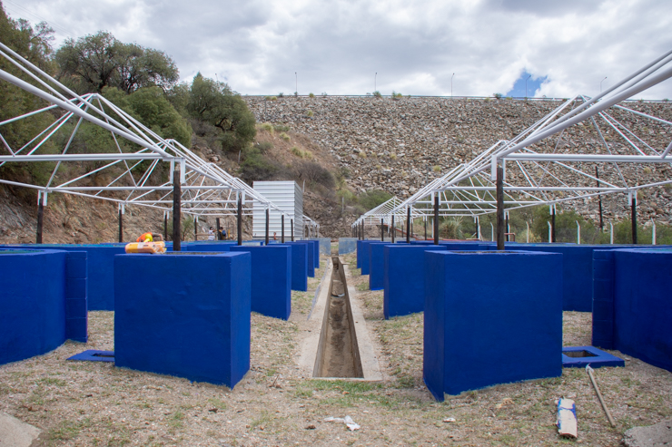 San Luis Agua trabaja en la puesta en valor de la estación de piscicultura de Río Grande