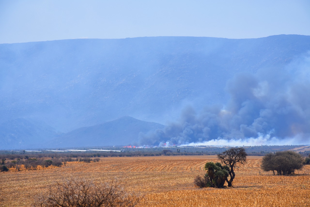 Panorama general de los incendios en la provincia