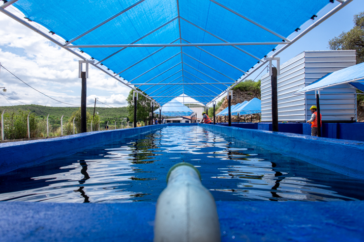 San Luis Agua ultima detalles en la estación de piscicultura de Río Grande