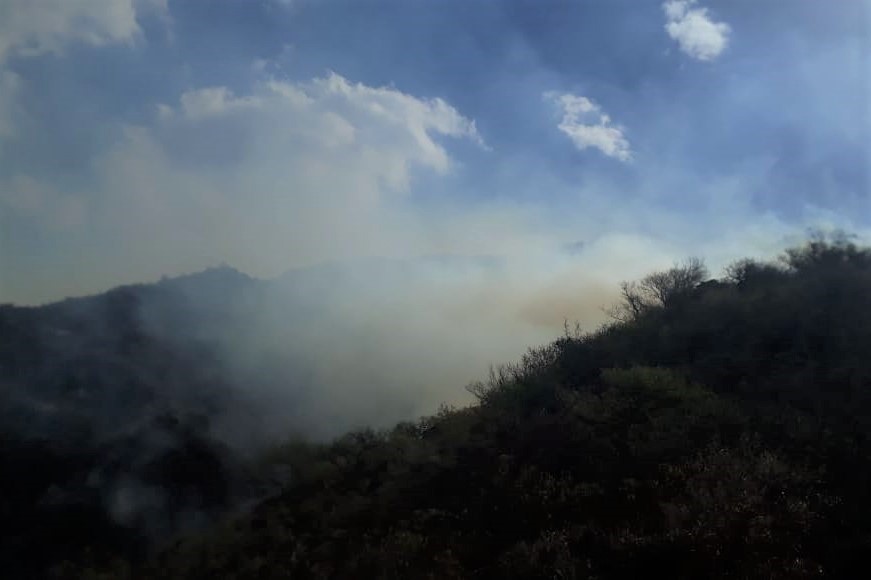 Incendios forestales: continúan los trabajos en Luján y Merlo