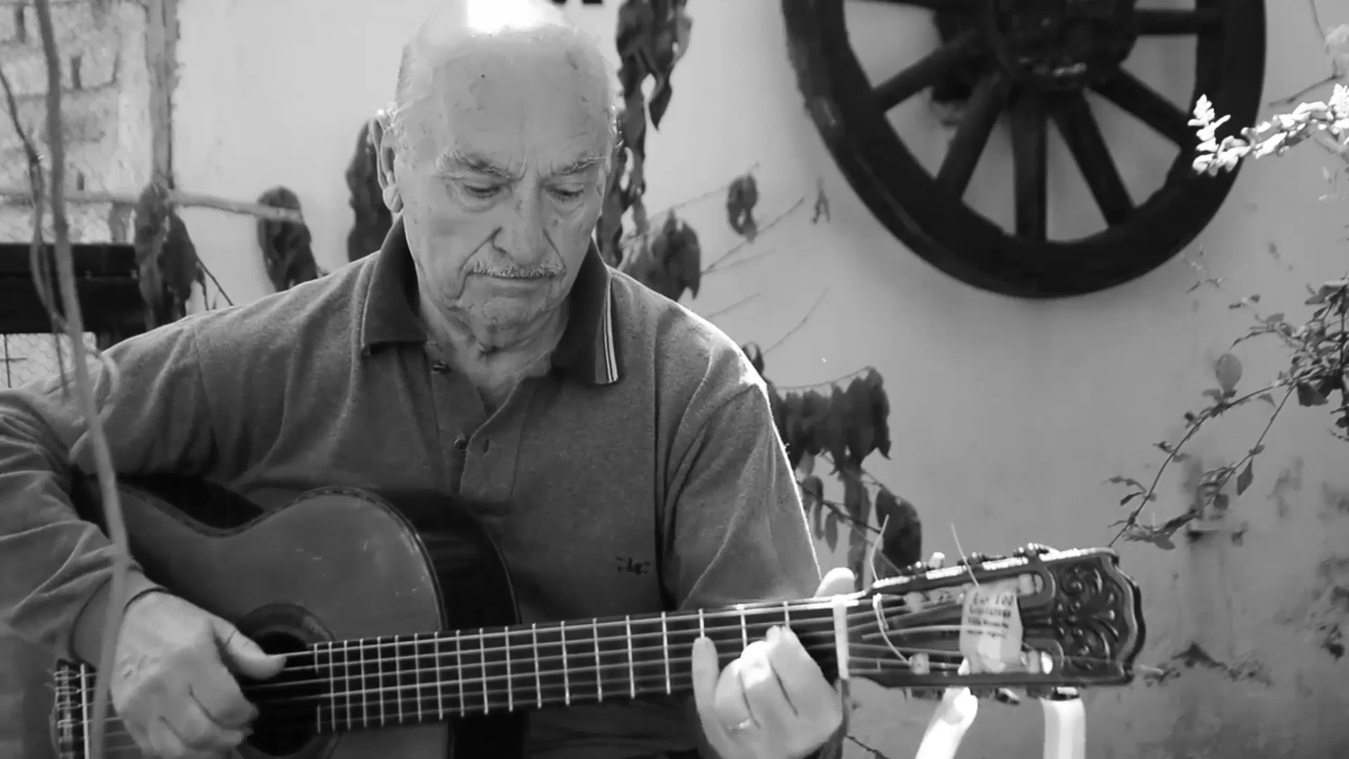 El Complejo Molino Fénix y Casa de la Música realizaron un video homenaje para Félix Máximo María
