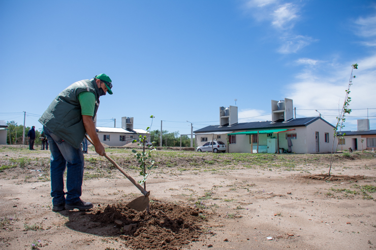 Comenzaron a entregar árboles frutales, aromáticas y semillas hortícolas a las familias de las nuevas viviendas de la ciudad de San Luis