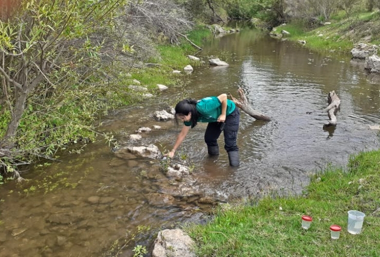 El Gobierno provincial realiza un monitoreo ambiental del río Conlara