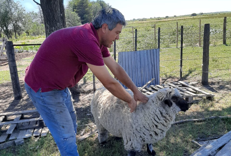 Realizaron la primera visita a un proyecto ovino que se desarrolla en la zona rural de Naschel