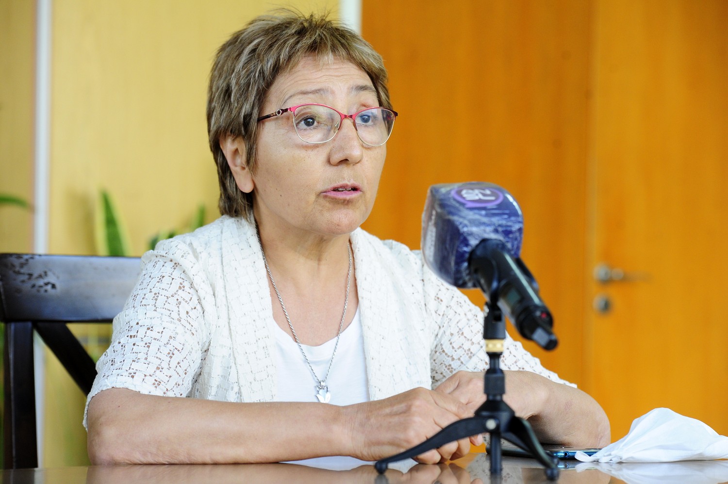Rosa Dávila: “Apelamos a la solidaridad de todos para que podamos mantener, aún con el virus circulando, las actividades laborales y educativas”