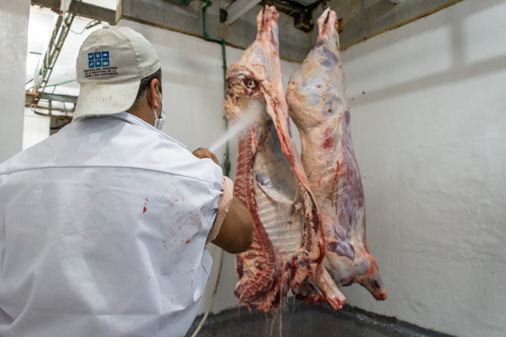 El frigorífico de Justo Daract, una opción de faena para productores bovinos y porcinos locales