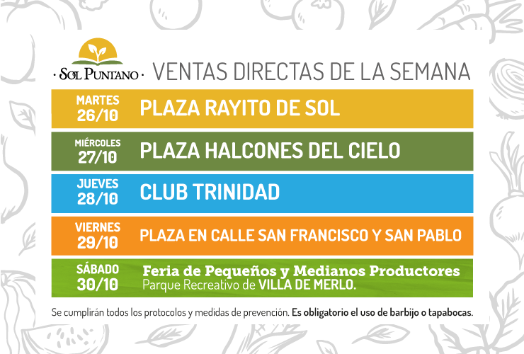Sol Puntano finaliza octubre con nuevas ventas directas al público