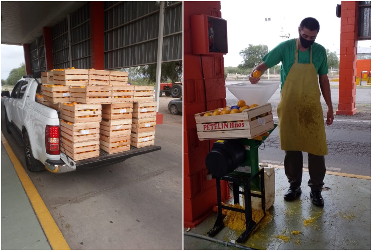 Decomisaron más de 4.000 kilos de naranjas en la barrera fitosanitaria de Desaguadero