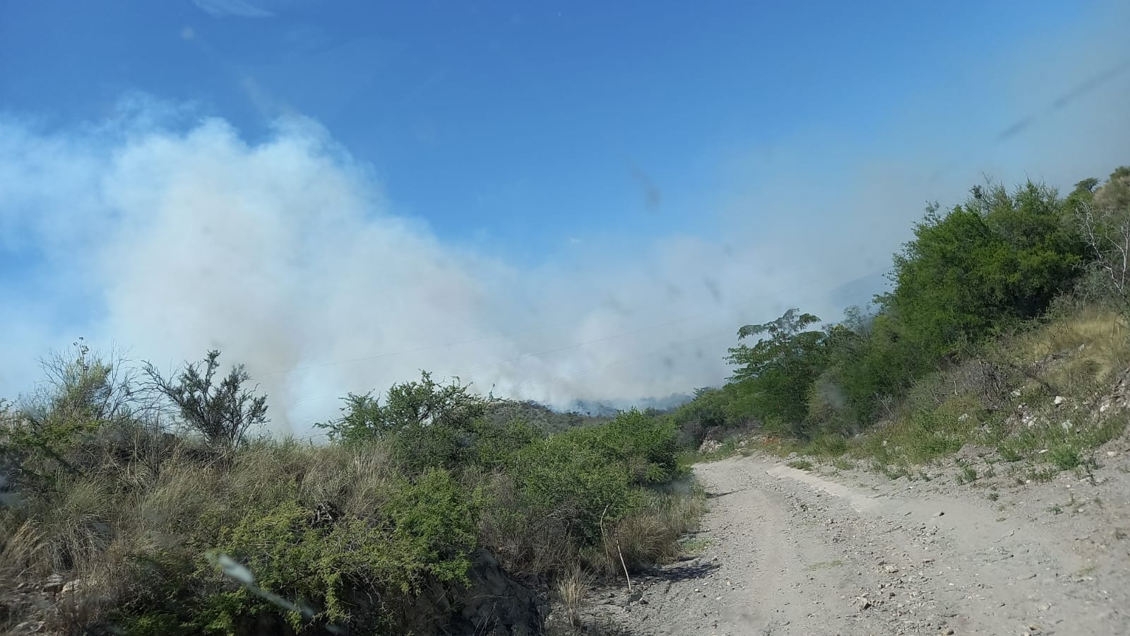 Combaten un incendio forestal en cercanías de La Florida