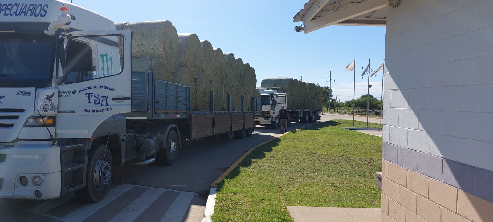 AlfaZAL acopia más de 2.500 toneladas de alfalfa