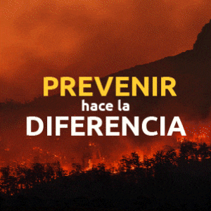 Prevención de Incendios