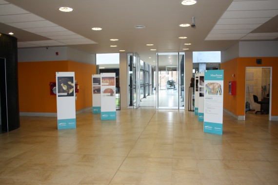 San Luis Agua expone en su hall central una muestra fotográfica sobre el consumo del agua en el mundo.