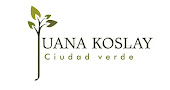 Imagen oficial del Municipio de Juana Koslay.