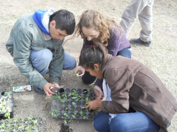 Alumnos aprenden sobre el manejo de las huertas.