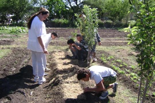 El programa Pro-huerta de la Municipalidad de Villa Mercedes invita a la primera capacitación en el marco del día del horticultor. 