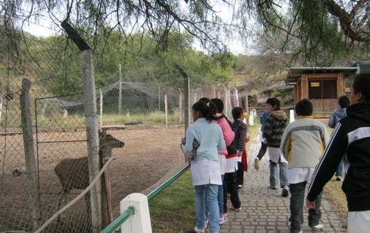 Los niños visitaron el Centro de Conservación de Vida Silvestre en La Florida.