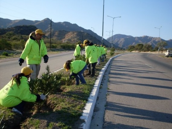 Trabajadores de Forestación, pertenecientes al Plan de Inclusión Social, realizan una constante labor en rutas y autopistas de San Luis.