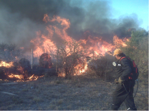 Brigadista combatiendo incendio forestal en cercanías de Cuchi Corral, año 2011.