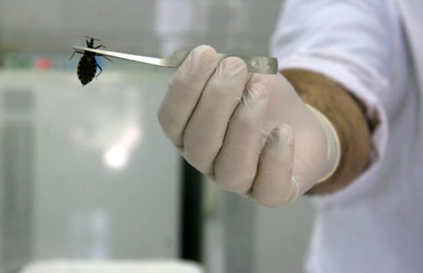 San Luis será reconocida como ‘Libre de Chagas