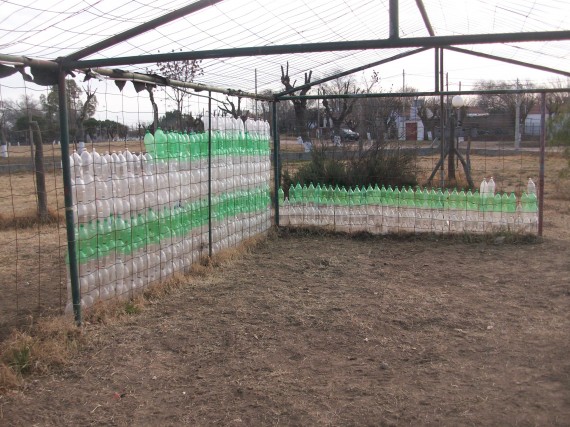 Se necesitaron 3500 botellas plásticas para poder realizar el invernadero.