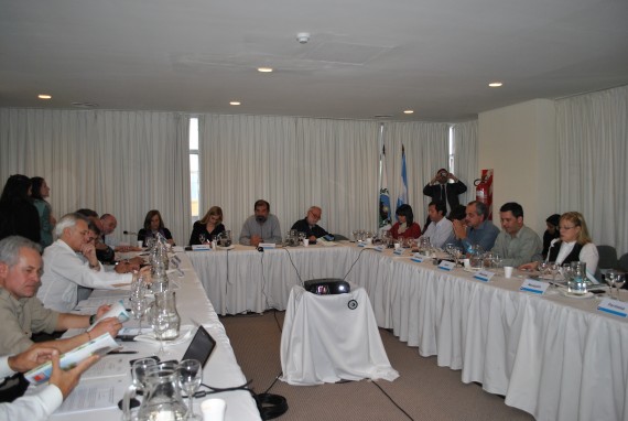 Las autoridades del CoFeMa durante la teleconferencia.