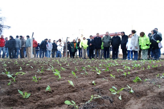 Las autoridades visitaron la huerta escolar