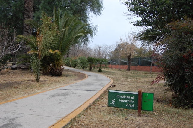 Realizan exposición de cuadros en el Parque de las Naciones