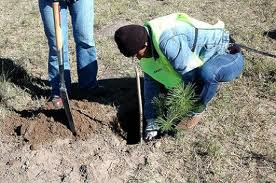 Trabajadores del Plan de Inclusión Social “Trabajo por San Luis” de la localidad de San Francisco, recibieron herramientas nuevas.