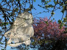 Las bolsas de plástico son uno de los principales contaminantes del medioambiente. 
