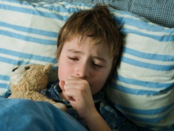 La tos convulsa afecta las vías respiratorias y es muy contagiosa.