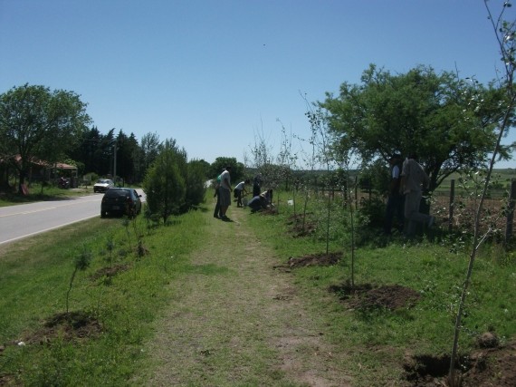 Avances en la zona forestada.