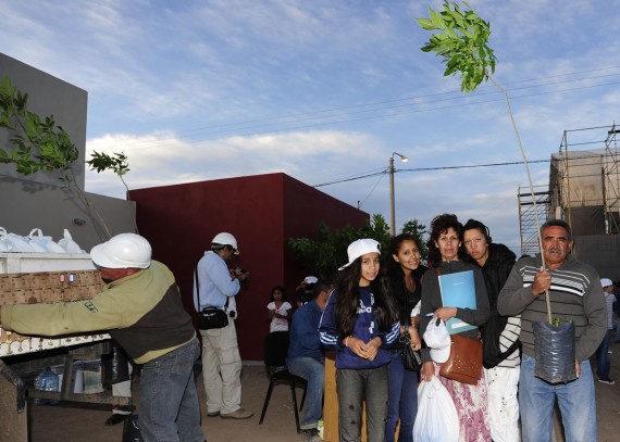 A plantar el arbolito. Una familia se dirige a su nuevo hogar.