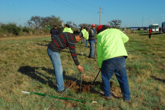 Trabajadores de Inclusión realizan tareas de embellecimiento en Parques de la ciudad