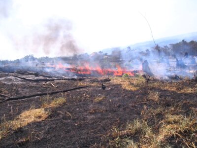 Incendios forestales en tres localidades de la Provincia